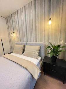 Park View Belgrade Waterfront