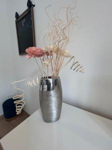 Les Embruns - studio cosy plage & centre - dog friendly