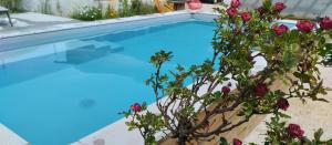 Appartements Gite 