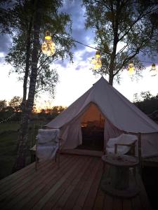 Glamping med alpackor