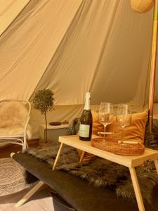 Glamping med alpackor