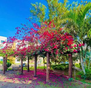 Apartamento no Condomínio Marina Clube