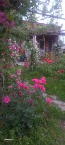 Cottage and Gigo Papas Wine Cellar
