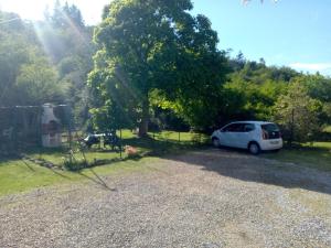 LErbetta fra le Cinque Terre e la Val di Vara