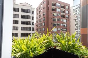 Nuevo y Comfortable Estudio