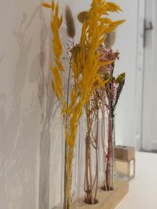 Charmante maison 8 pers à 2 pas de la forêt