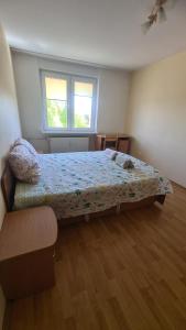 Cozy oasis of light in Palanga