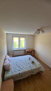 Cozy oasis of light in Palanga