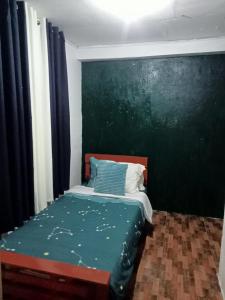 Spacious 3 - Bedroom Home with Wi-Fi, Laundry and Full Amenities in Kabankalan City