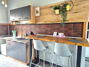 Mogosoaia High Living Penthouse