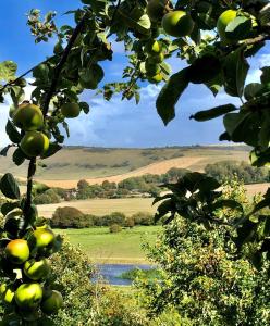 Woodpecker Hill - Shepherds Hut Alfriston