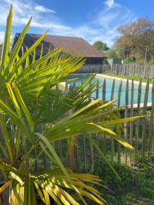 Maison de Campagne avec Piscine