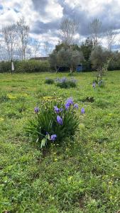 Villa Talìa - casa accogliente, immersa nel verde