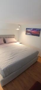 Leo dublex apartment golem