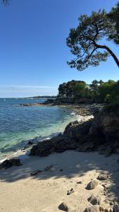 Sejours chez l'habitant Chambre de la mer blanche : photos des chambres