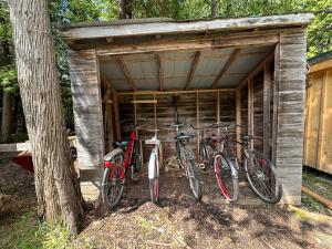 Rustic Bruce Retreat with Pool!