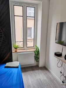 Appartements Bulle tropicale jungle : photos des chambres