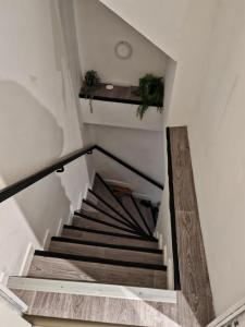 Appartements Bulle tropicale jungle : photos des chambres