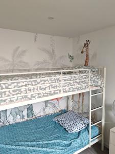 Appartements Bulle tropicale jungle : photos des chambres