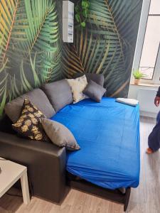 Appartements Bulle tropicale jungle : photos des chambres