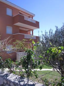 Novalja Zrce Iva Apartment II