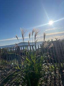 Villas Splendide Villa Maje 8p vue mer piscine privee Plage a 5mn : photos des chambres