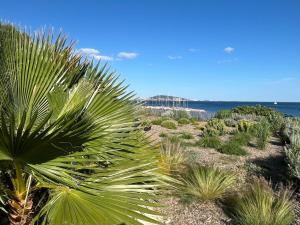 Villas Splendide Villa Maje 8p vue mer piscine privee Plage a 5mn : photos des chambres