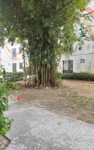 Excelente Apto com 2 quartos para COP 30