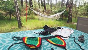 Chalets Tiny House Boho Ocean : photos des chambres