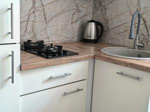 Апартаменти з виглядом на історичний центр Львова