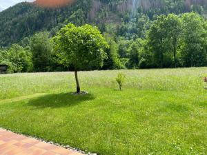 Appartement Dallavia