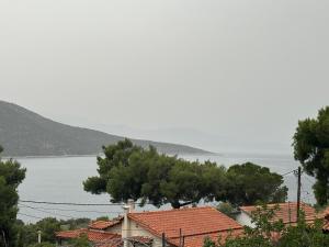 Alkionis
