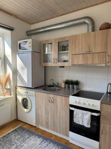 Laura comfy city apartment studio Kappeli 8-2 near Tallinn airport, next to the bus station