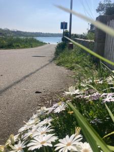 Maisons de vacances Maison artistes bord de mer Rostellec : photos des chambres