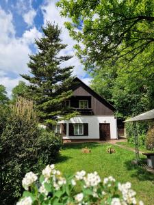 Chalupa Hnízdo Jetřichovice