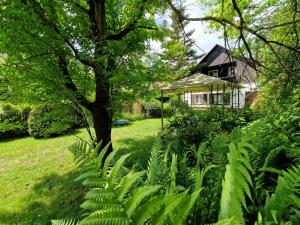 Chalupa Hnízdo Jetřichovice