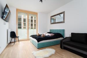 Big City Apartment