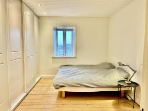 Central, charmerende lejlighed