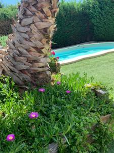 Maisons de vacances Clalou : photos des chambres