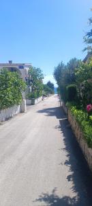 Apartments Branka- 4 apartments in house- 1 apartment has jacuzzi