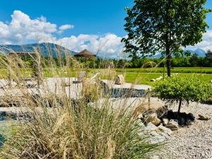 Camp Garden Park-Empty Pitches and Glamping Tents