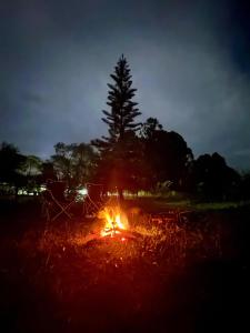 Chalé Aurora- 7 minutos da Cachoeira do Moinho e 3 km do centrinho