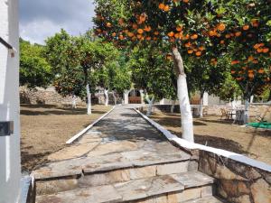 Villa Nikos Gialos
