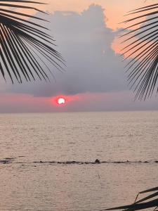 Cozy house by the sea