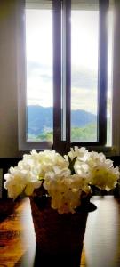 Apartamento en la montaña, Serra