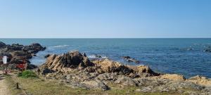 Appartements Le Cottage-Cote Sauvage-Plage-Commerces-Parking : photos des chambres