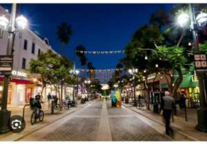Walk to Santa Monica Beach Pier Boardwalk Venice
