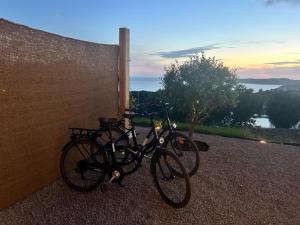 Appartements Appartement vue mer Volpaghja 02 : photos des chambres