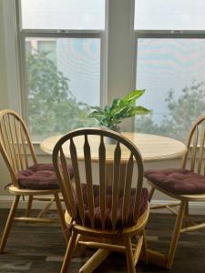 Amazing, Sunny, and Spacious! Steps to Campus!