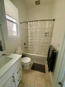 Amazing, Sunny, and Spacious! Steps to Campus!